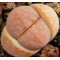SB2157 - Seed 